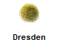 Dresden