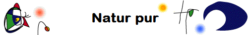 Natur pur