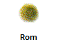 Rom