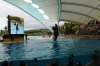 Wal Show
