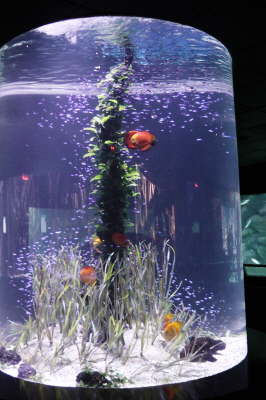 Aquarium