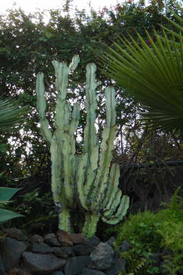 Natur pur